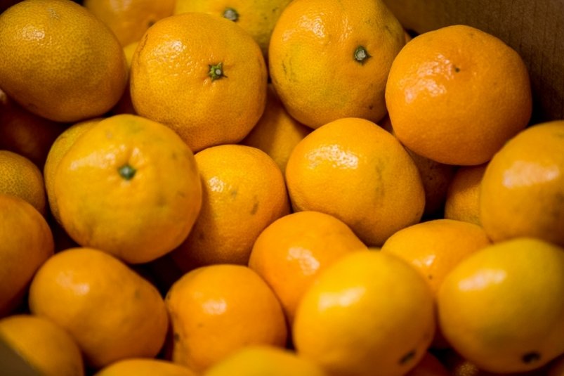 Таможня в Сочи оформила свыше 2,5 тысяч тонн мандаринов из Абхазии Антон Балашов