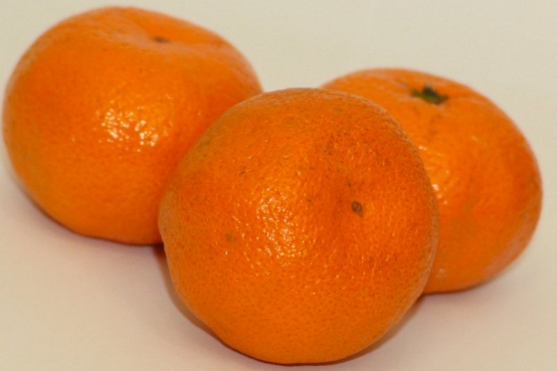 Мандариновый сезон на Кубани стартовал раньше обычного Антон Балашов