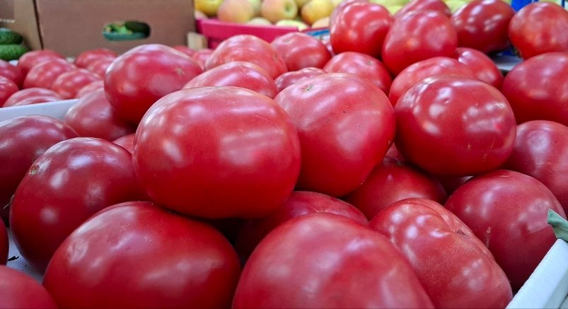 Выбираю эти сорта томатов — получаю щедрый урожай: помидоры крупные и мясистые, а вкус сладкий без кислинки фото автора