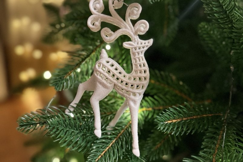 АТОР назвала Сочи главным направлением для новогоднего отдыха Марина Кудрявцева