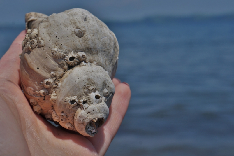 Заграница дешевле России: куда ехать в ноябре, пока туроператоры не опомнились Ольга Брютова, ИА UssurMedia