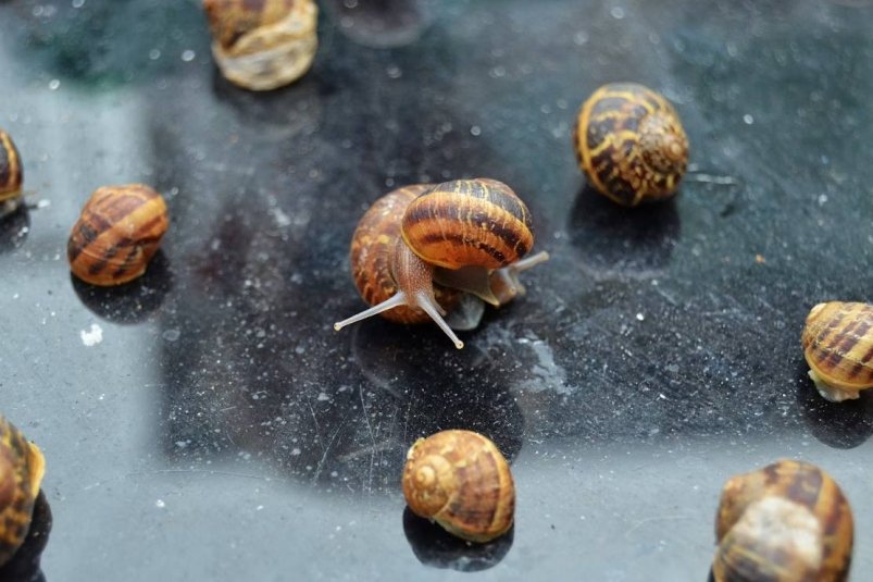 Тематическое фото unsplash.com