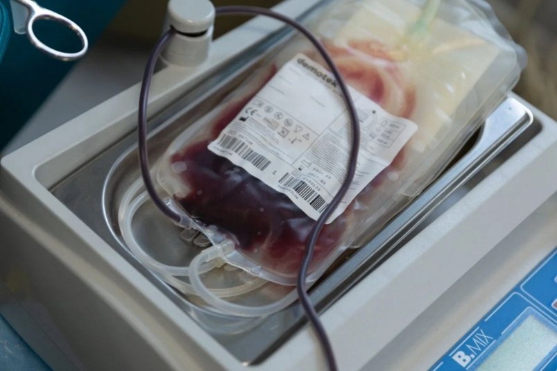 Звание почётного донора Дона присвоили 128 жителям региона ИА Stavropol.Media