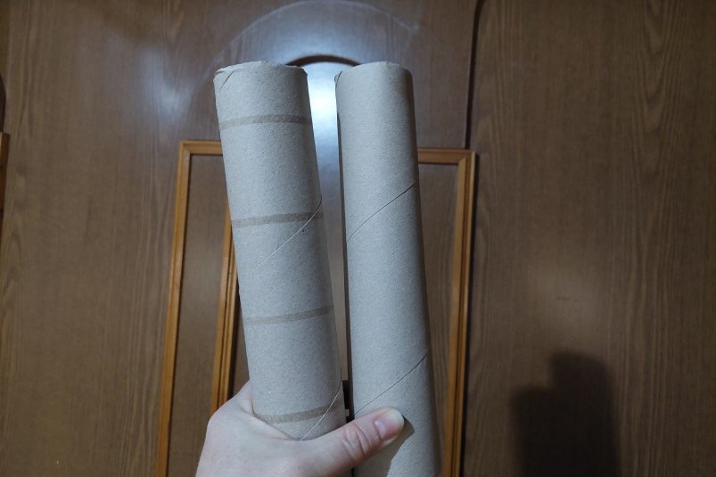 Втулки от бумажных полотенец не выкидываю: очень выручают в хозяйстве - подруги раньше смеялись, а теперь сами копят ИА stolicamedia