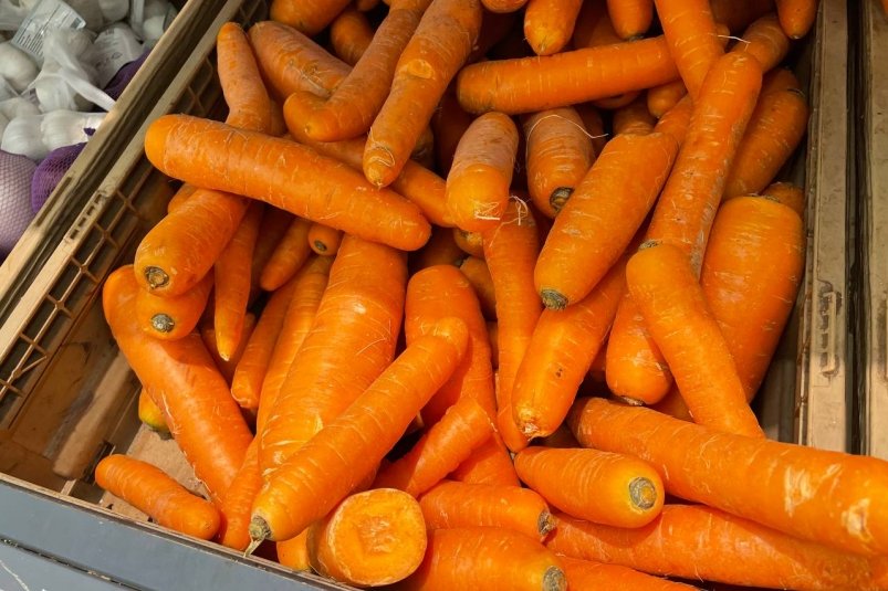 Как правильно хранить морковь — лайфхак опытных дачников: свежая и сочная до самого июня фото автора
