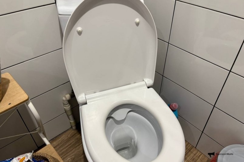 Не лимон, не сода и не белизна: лью это в унитаз - 5 минут ржавчину и налет как водой смыло ИА Stavropol.Media