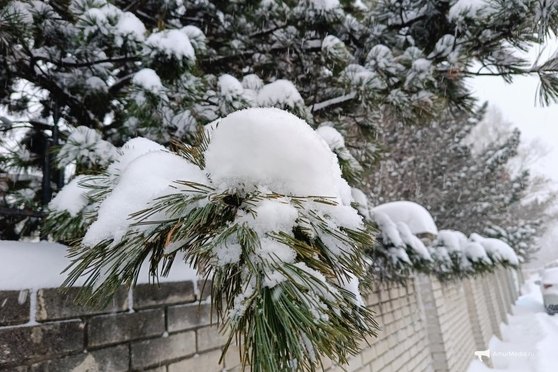 Тематическое фото ИА  AmurMedia