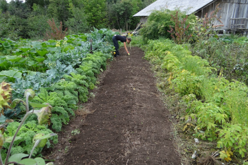 Тематическое фото pxhere.com