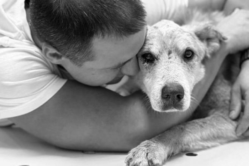 Энергетики организовали благотворительную акцию в поддержку собачьего приюта в Ангарске Эн+