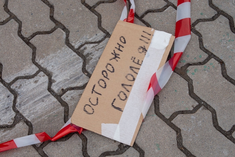 Тематическое фото Юлия Матреницкая, ИА AmurMedia.ru