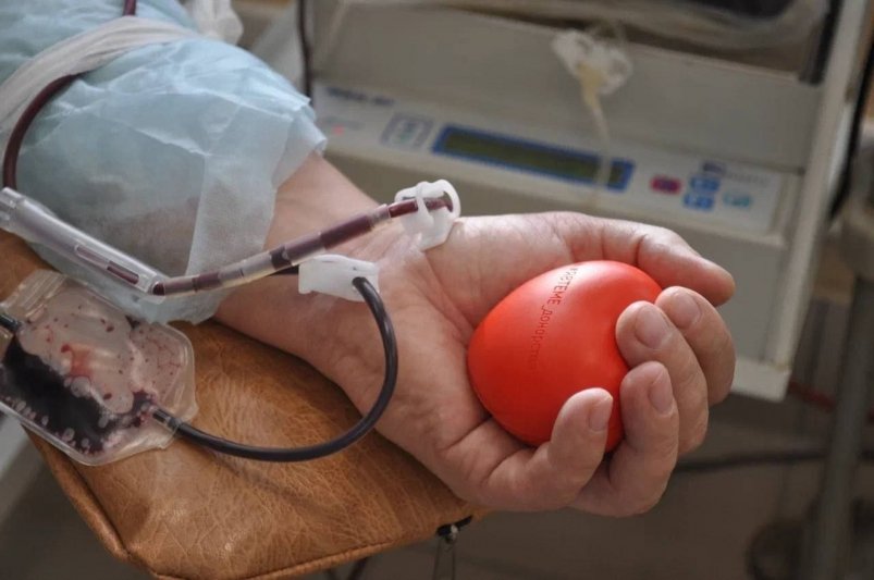 128 жителей Дона получили звание "Почётный донор" телеграм-канал (18+) Юрия Слюсаря