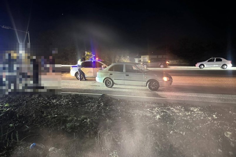 Женщину с 2-летним ребёнком сбил автомобиль близь Ставрополя Госавтоинспекция Ставрополья