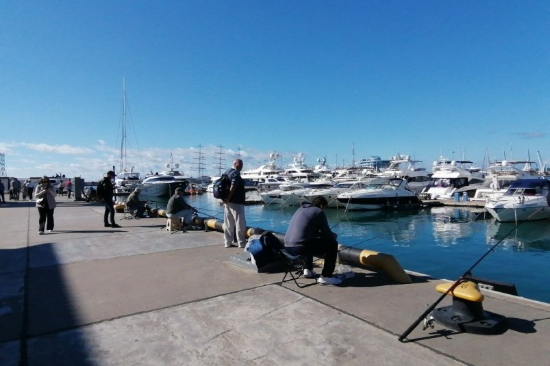 Пассажиры парома из Трабзона не могут сойти на берег в Сочи второй день ка