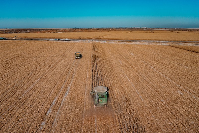 Поле Мария Смитюк, ИА PrimaMedia