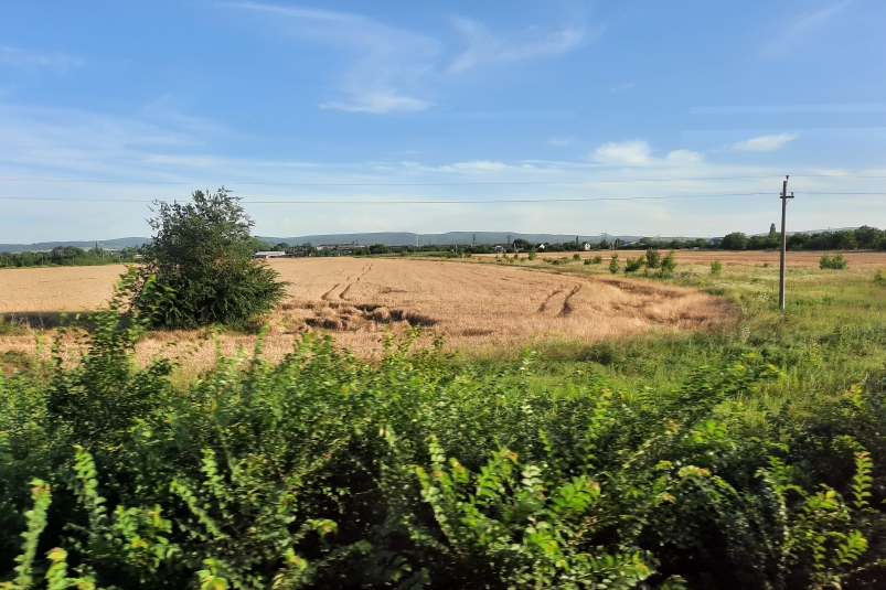 В Краснодаре многодетным семьям не выделяют землю из-за дефицита участков Людмила Лата