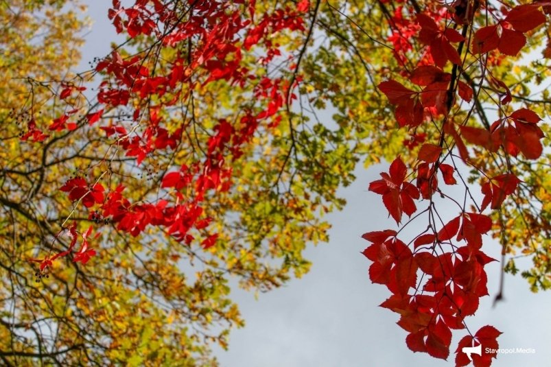 Идём загорать: жара до +20° ожидает ставропольцев в ноябрьские выходные ИА Stavropol.Media