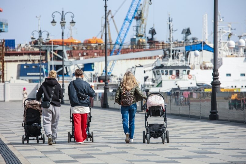 В России готовят рост маткапитала — выплаты вырастут в 1,5 раза Дмитрий Осипчук, ИА PrimaMedia.ru