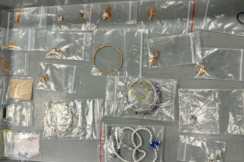 Изъятые украшения пассажирки Telegram-канал ФТС