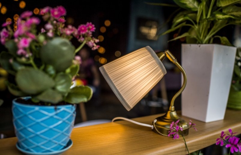 Тематическое фото pxhere.com