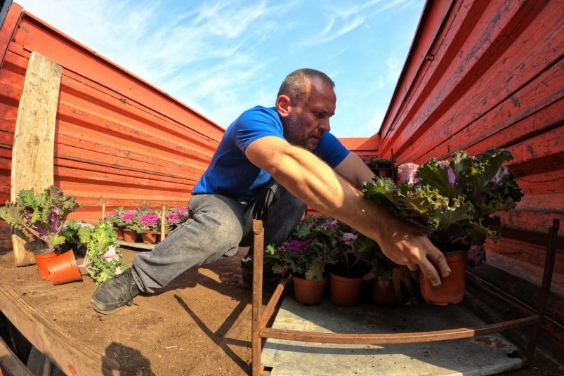 Более 1 тысячи саженцев получили в Ялте Соцсети Я. Павленко