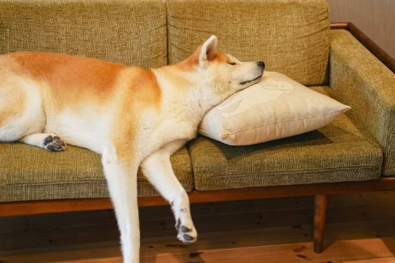 Тематическое фото unsplash.com