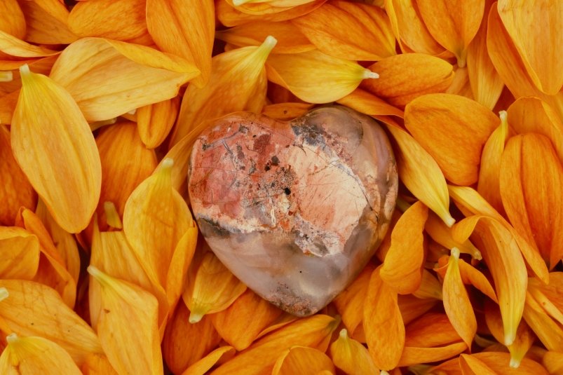 Тематическое фото unsplash.com