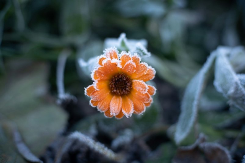 Тематическое фото unsplash.com