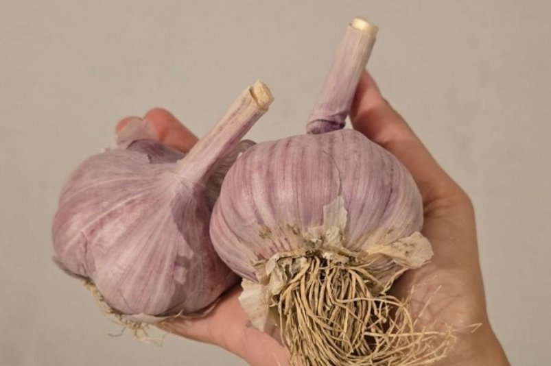 Тематическое фото Екатерина Миронова