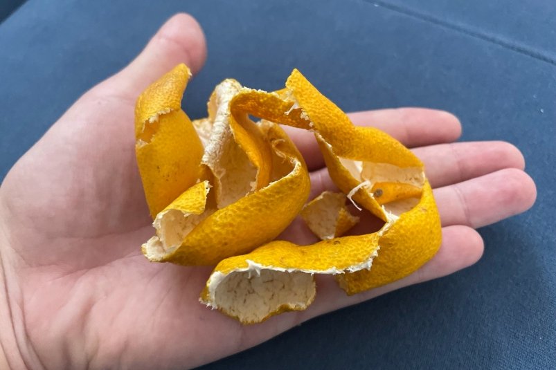 Корки от мандарина не выбрасываю, а замачиваю в уксусе: в доме пахнет вкуснее, чем в японском саду ИА Stavropol.Media