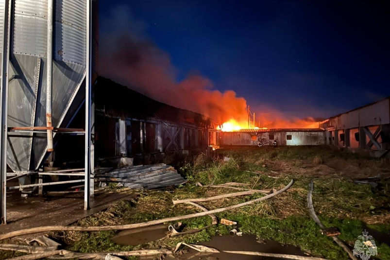 Пожар в свинокомплексе "Мерси Агро Сахалин" пресс-служба ГУ МЧС России по Сахалинской области