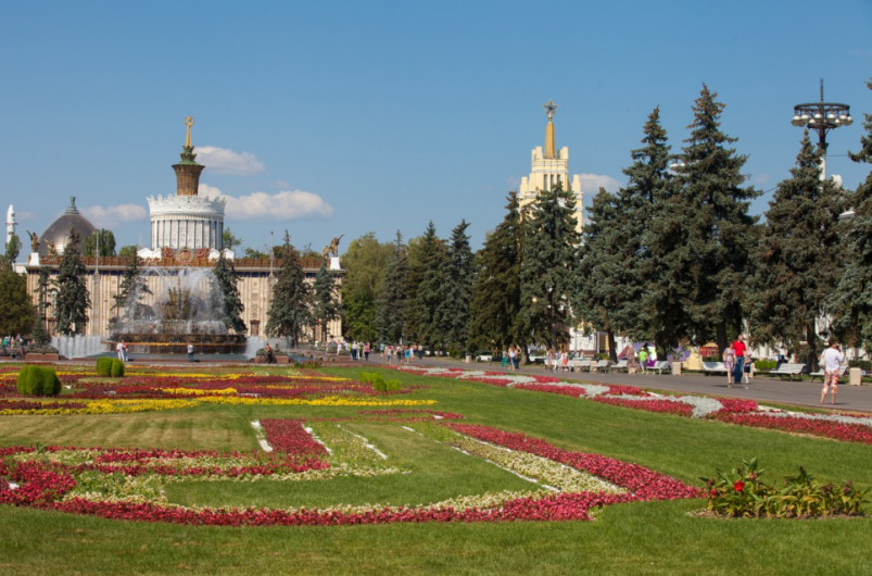 Тематическое фото pxhere.com