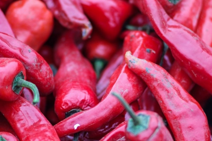 Перец Антон Балашов, ИА PrimaMedia