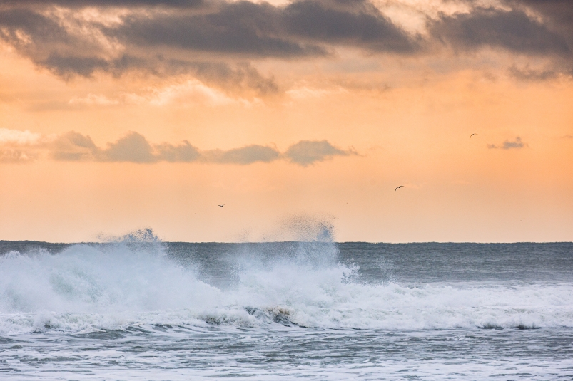 Исторический рейс парома Трабзон-Сочи закончился провалом Илья Аверьянов