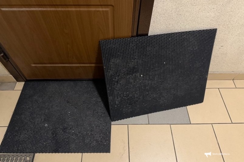 Кто по закону в ЖКХ обязан мыть пол под ковриком в подъезде многоэтажного дома ИА StolicaMedia