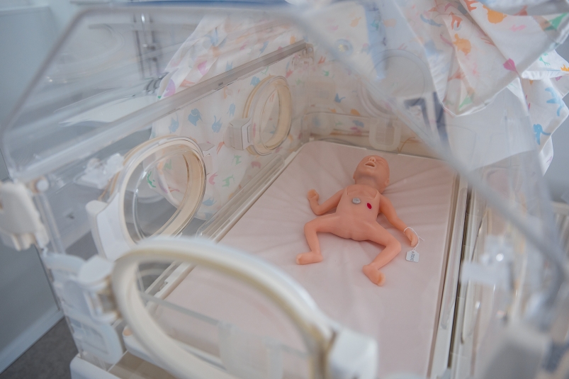 Роддом, дети, ребенок, медицина Илья Аверьянов, ИА PrimaMedia