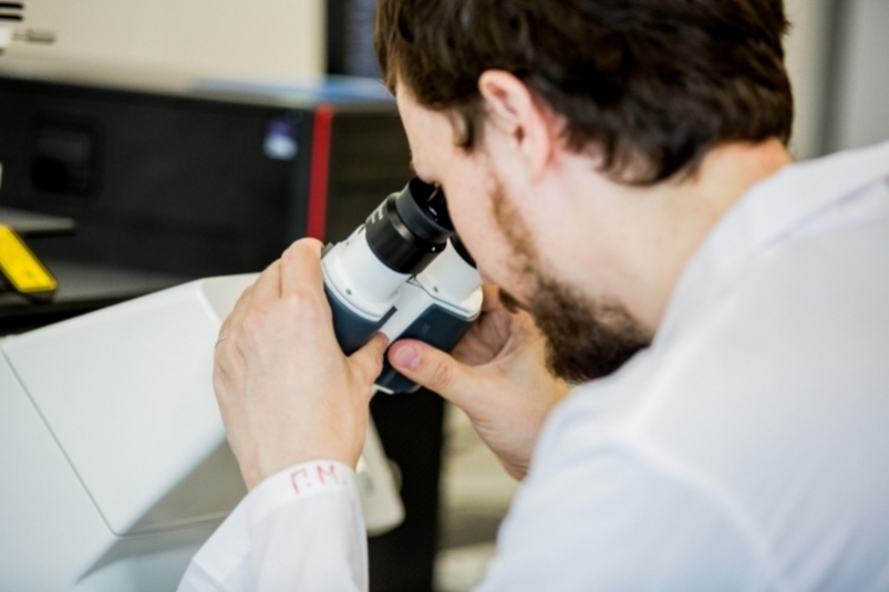 Тематическое фото ИА PrimaMedia