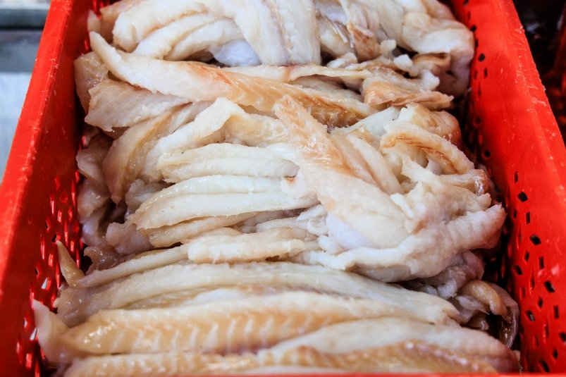 Тематическая иллюстрация Евгений  Кулешов, ИА PrimaMedia.ru