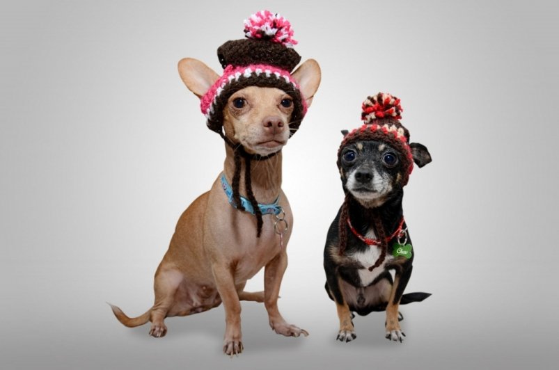 Тематическое фото pxhere.com