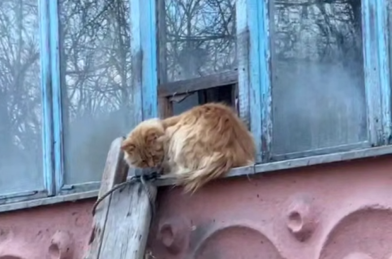 Скриншот тг-канал &quotrusakova_sofya" (18+)