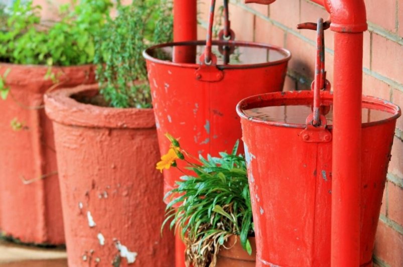 Тематическое фото pxhere.com