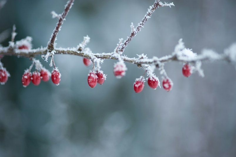 Тематическое фото unsplash.com