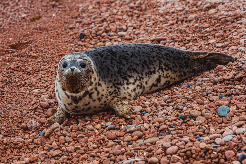 Тематическое фото Мария Смитюк, ИА PrimaMedia