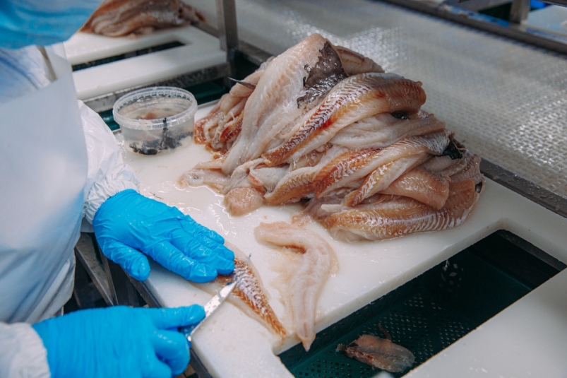 Рыба Мария Смитюк, ИА PrimaMedia