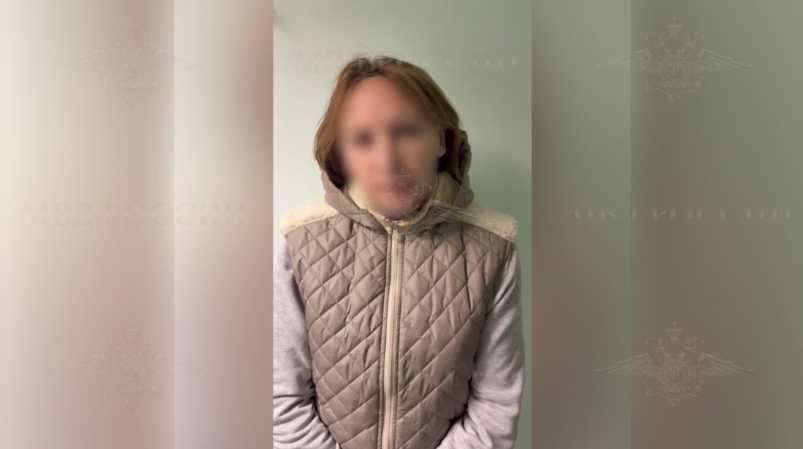 Тематическое фото Telegram-канал официального представителя МВД России Ирины Волк