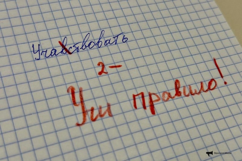 Даже учителя русского языка ошибаются: эти 5 простых глаголов ставят в тупик - а вы справитесь? ИА Stavropol.Media