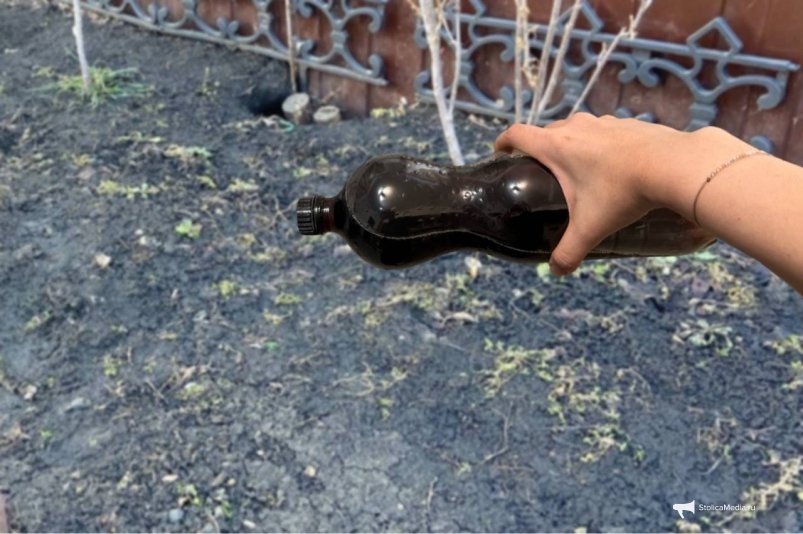 По 1.5 л на замерзшую землю: ядерное топливо для земли - не сад, а зеленый рай весной ИА StolicaMedia