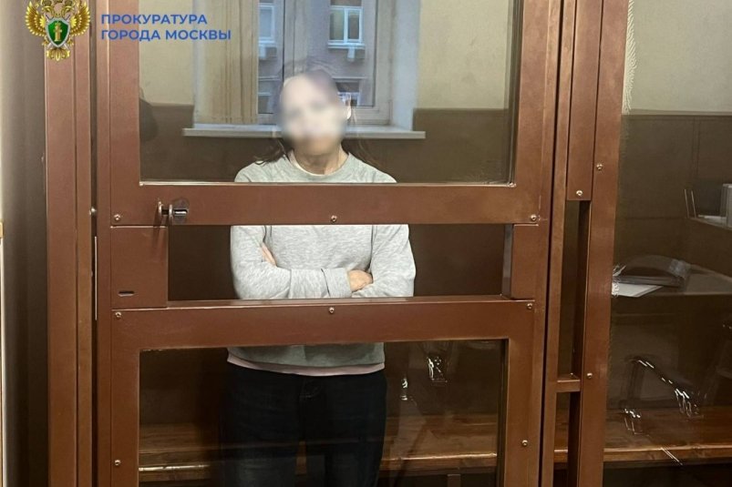 Пенсионерка, которая толкнула ребенка в метро Москвы Telegram-канал прокуратуры Москвы