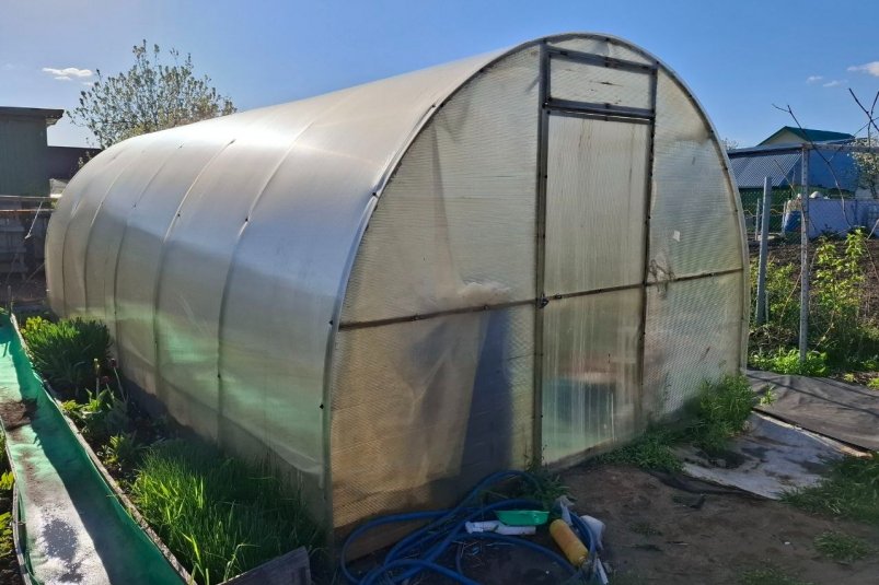 Теплица зимой впустую не простаивает: бережливым дачникам приносит пользу даже в -40 Фото автора