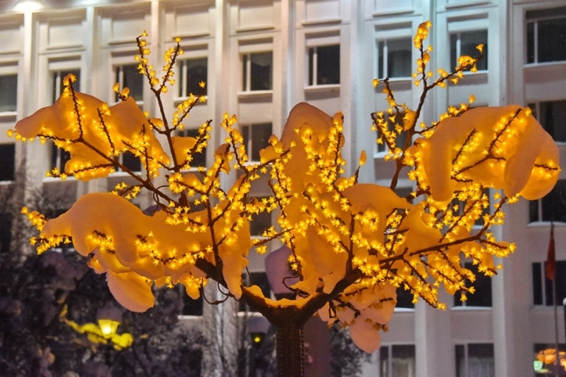 Магадан начали украшать к Новому году Источник