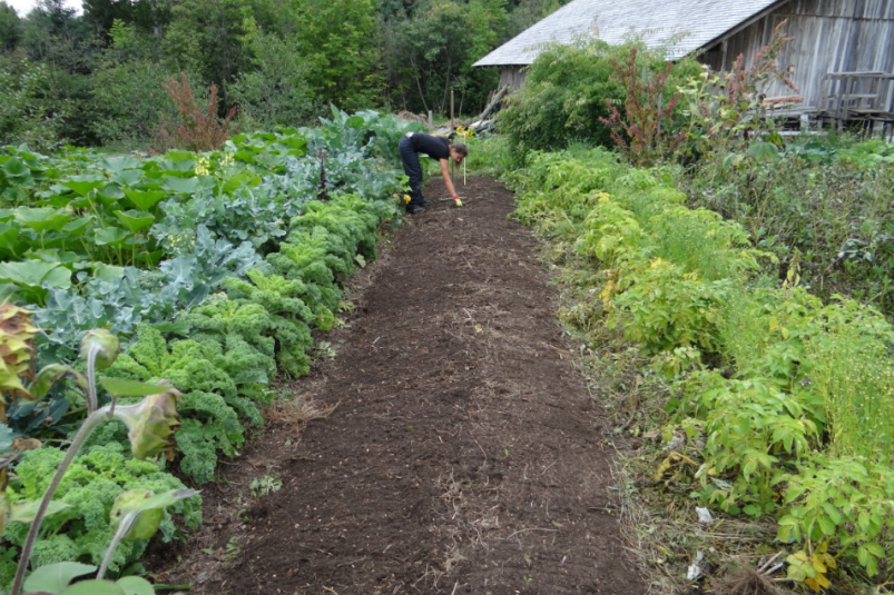 Тематическое фото pxhere.com